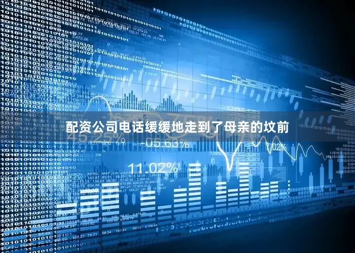 配资公司电话缓缓地走到了母亲的坟前