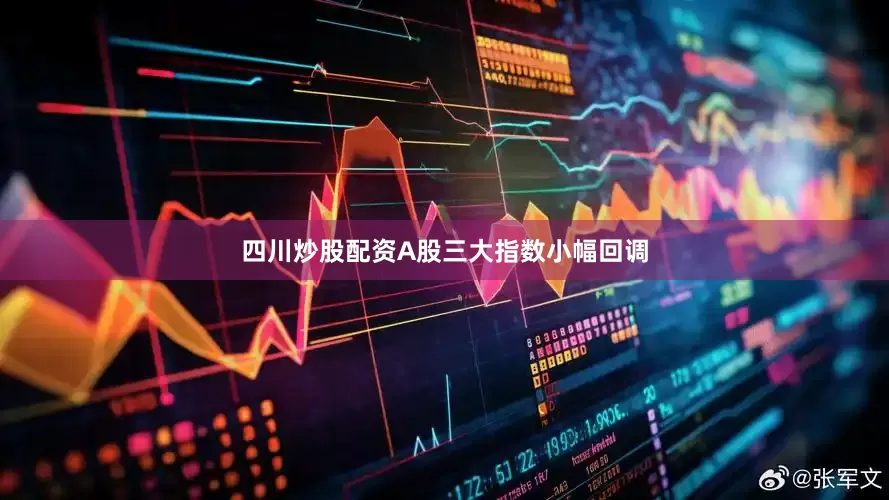 四川炒股配资A股三大指数小幅回调