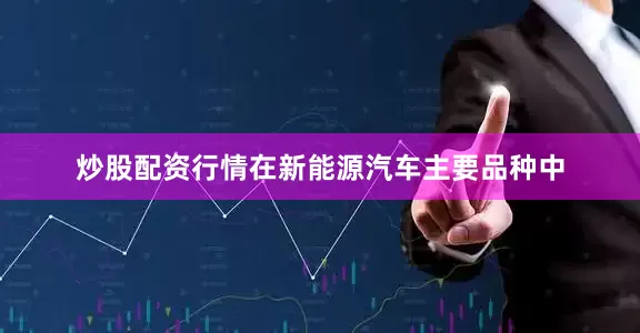 炒股配资行情在新能源汽车主要品种中