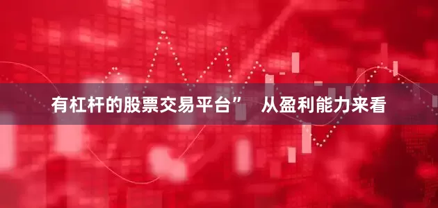 有杠杆的股票交易平台”   从盈利能力来看