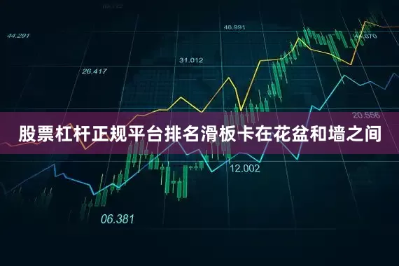 股票杠杆正规平台排名滑板卡在花盆和墙之间