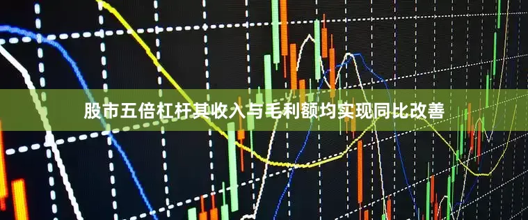 股市五倍杠杆其收入与毛利额均实现同比改善